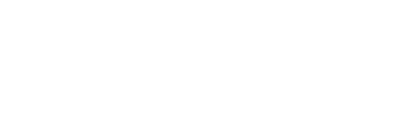 Hometown National Bank White Logo